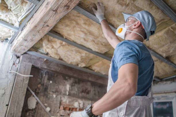 Best Geographic-Specific Insulation Services in Lighthouse Point, FL